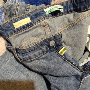 Anthropologie A+ Pilcro Jeans